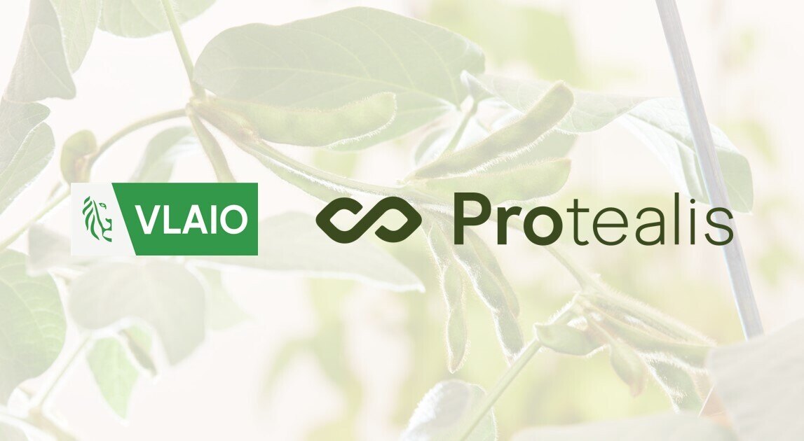 Protealis secures €1.2M to advance highperforming legume crop
